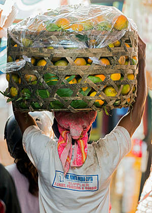Back view of a man carrying a basket of mangos at the traditional rural street market, in North Bali.