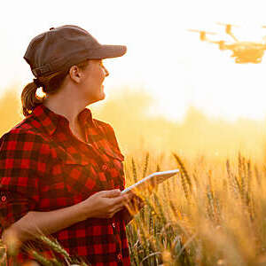 Woman farmer controls drone with a tablet. Smart farming and agriculture