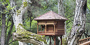 Miniature tree house. Natural view